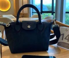 Sac longchamp mini 18$