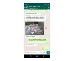 SAC MYSTIQUE POUR ËTRE RICHE DU VIEUX FRANÇOIS +229 01 58 82 53 15